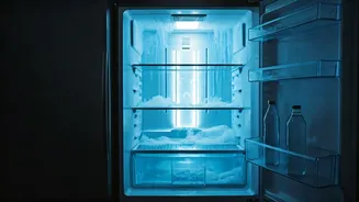 Summer Fridge Safety: Preventing Potential Explosions with Simple Steps