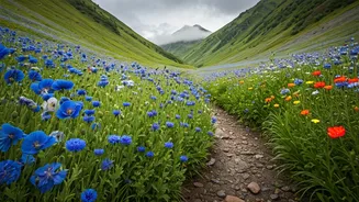 July Trekkers Need A Valley Of Flowers Checklist