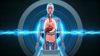 Unlock Your Health: Why Full-Body MRIs are Crucial for Ages 40+