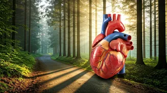 Walk This Way: Heart Health Benefits & Reduced Risk