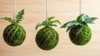 Transform Your Space With Easy DIY Hanging Kokedama Moss Balls