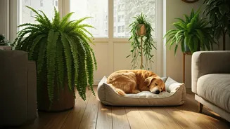 How Pet Safe Biophilic Design Reshaped Living Room Layouts