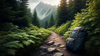 Lost Techie's 4-Day Wilderness Survival: Thadiyandamol Trekker's Ordeal