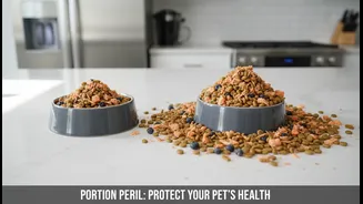 Gourmet Pet Food Needs A Portion Reality Check