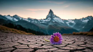 Beyond the Postcards: 5 Swiss Hotspots That Might Disappoint