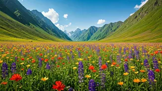 Valley Of Flowers Trek Open From June To October 10