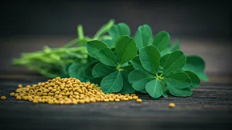 Methi Adds Soul To Basic Kitchen Staples