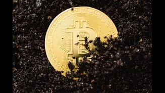 Bitdeer Sells Entire Weekly Bitcoin Production, Holds Zero BTC