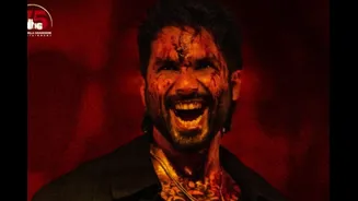 Shahid Kapoor's Gangster Film O Romeo To Release On THIS OTT Platform After Theatrical Run?