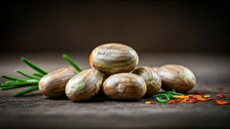 Leftover Jackfruit Seeds Can Become Delicious Snacks