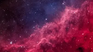 Why Checking Extreme Distance Matters after the Latest Webb Study of Little Red Dots