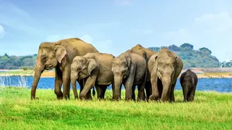 IRCTC Wildlife Tours From Mumbai: What The Newly Announced Packages Cover