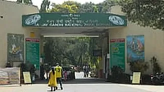 Construction Inside SGNP Will Mark Beginning Of The End Of Mumbai’s Protected Green Cover