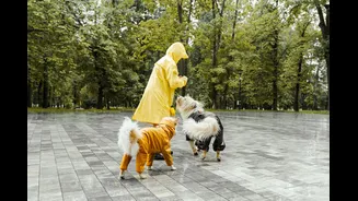 Understanding Pet Safety During Extreme Weather in India