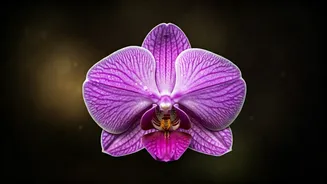 Beyond the Basics: 7 Subtle Traits That Make Men Irresistibly Attractive