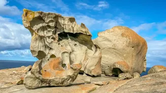 What Scientists Are Learning About Carbon From Eroding Coastal Landscapes