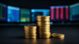 Capillary Technologies IPO: Understanding the Public Offering