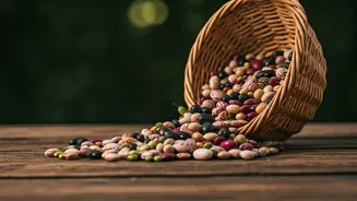 BeanTok: The Indian Gut's Best Friend?