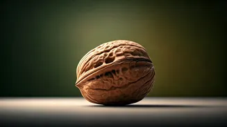Walnuts: The Superfood Powerhouse for Women's Health & Vitality