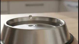 Avoid Water Additives In Dishes Pets Might Drink From