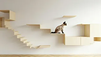 Bare Living Room Walls Transformed Into Multi Tier Cat Arenas