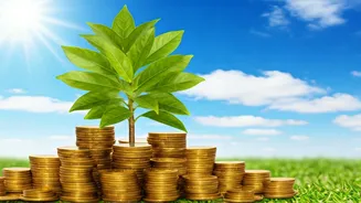 Unlock Future Wealth: Mutual Funds for Long-Term Growth