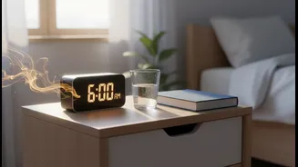New Findings Show Sleep Habits Could Shape Everyday Energy And Activity