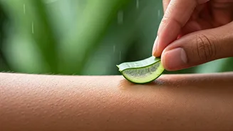 Beat the Buzz: Top 5 Natural Remedies for Soothing Mosquito Bites This Monsoon