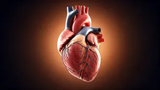 Heart Attack Indicators: What a Neurologist Wants You to Know