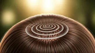 Unlock Hair Growth: The Ultimate Guide to Scalp Massages for Thicker, Healthier Hair