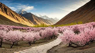 Related Stories banner