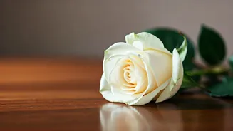 Tommy Lee Jones' Daughter Found Dead: A Sad Day