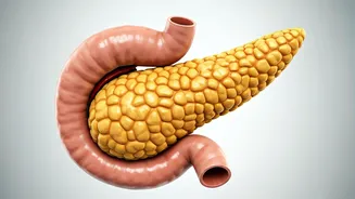 Diabetes Remission: Expert Insights and Reversal Strategies