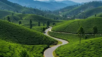 Kerala's Green Marshal Plan Makes Cleanliness Part of Destination Management