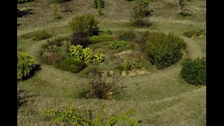 Bengaluru To Get New Biodiversity Park, Third Largest After Lalbagh And Cubbon