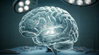 Silent Brain Diseases: A Neurosurgeon's Alert