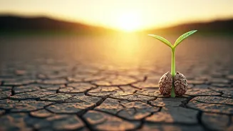 Embrace Progress, Not Perfection: Lessons from the Bhagavad Gita on Overcoming Fear of Mistakes