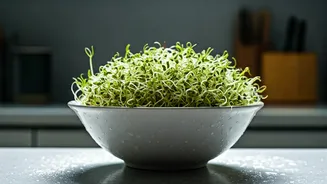 This Monsoon, Your Sprouts Need More Than A Wash