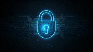 UPI Security Protocols Make Digital Transactions Safest In World
