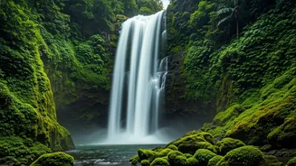 Witness Breathtaking Seasonal Western Ghats Waterfalls This Weekend Destination