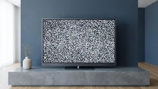 Gen Z flocks to classic TV shows