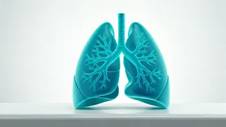 Check Your Lung Health At Home With These Tips