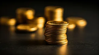 SBI Lending Rate Cut: What It Means for You