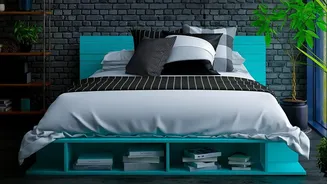 How air-purifying house plants improve overall bedroom wellness by capturing common household paint and chemical fumes