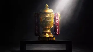 Most defeats in the IPL eliminator over the years