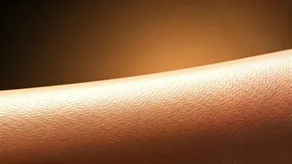 Mallika Sherawat's Secret: Ageless Glow at 49