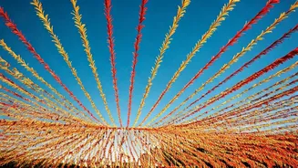 Unforgettable Festivals: 2025-2026 Travel Guide