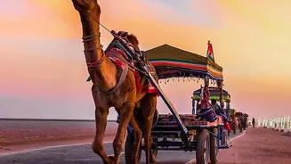 Rajasthan's Emerging-Destination Push Makes Local Transport Planning Worth Comparing