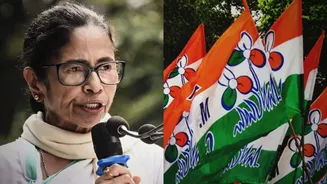 Mamata's TMC faction submits alternative name, symbol to ECI
