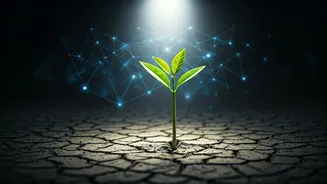 From Traumatized to Thriving: Navigating Professional Relationships Through Personal Growth